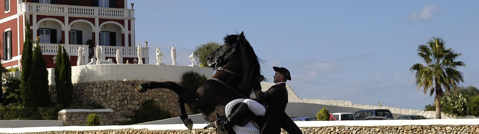 Son Granot Hotel Es Castell  Buitenkant foto